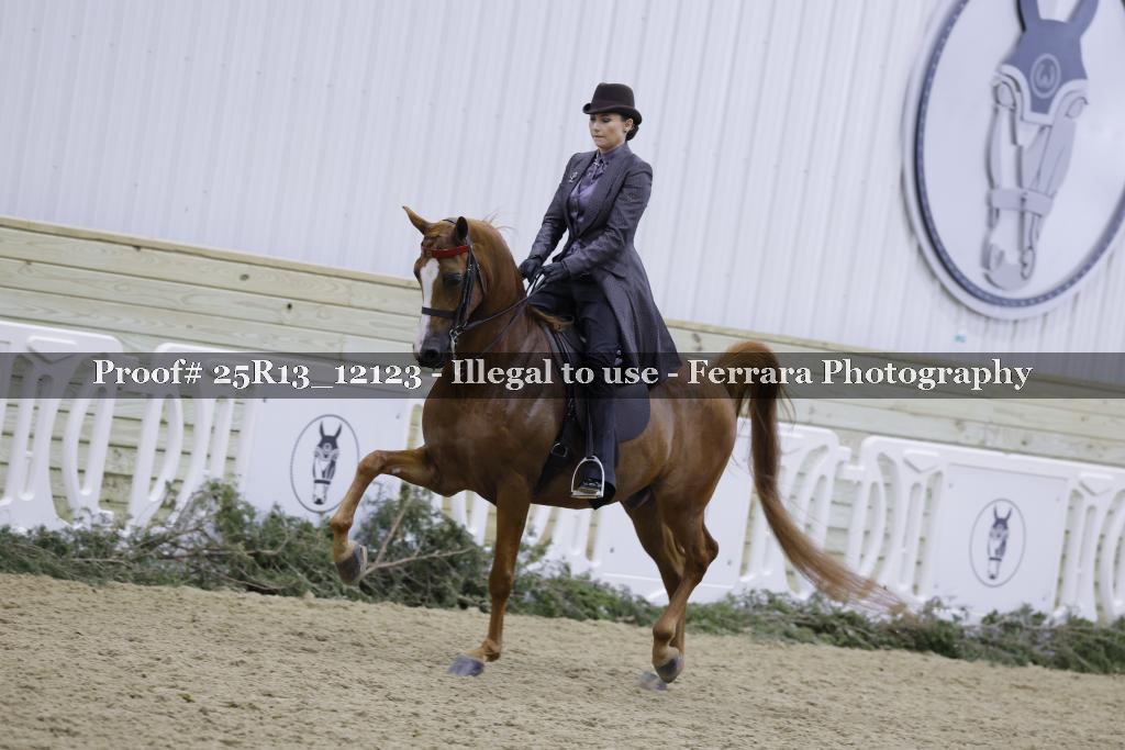 Proof 25R13_12123