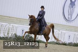 25R13_12123 proof