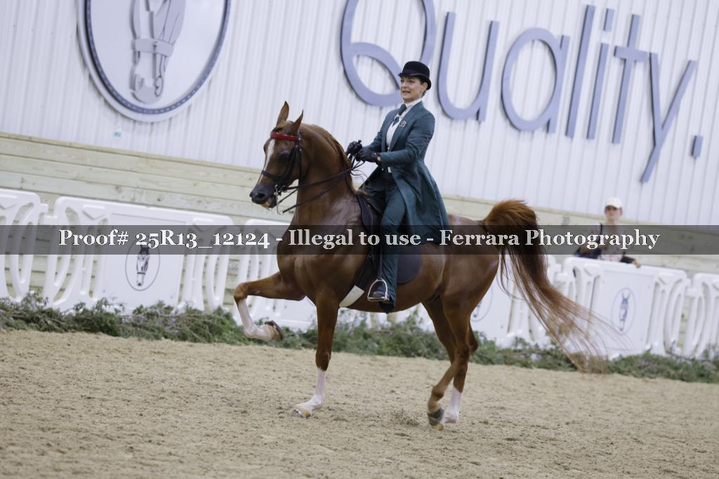 Proof 25R13_12124