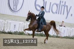 25R13_12124 proof