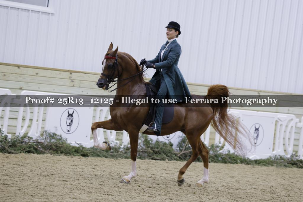 Proof 25R13_12125