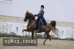 25R13_12125 proof