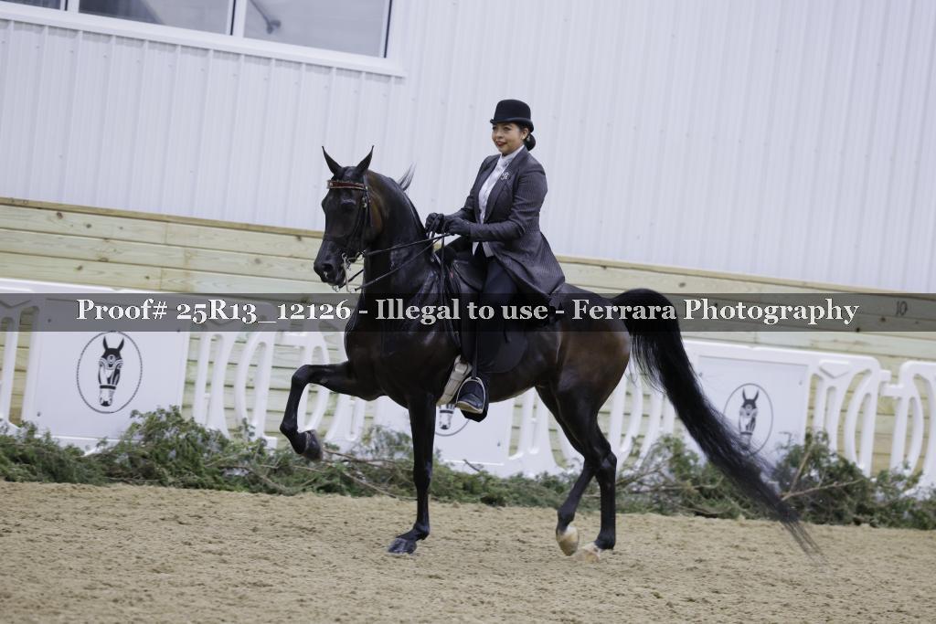 Proof 25R13_12126