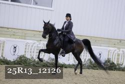 25R13_12126 proof