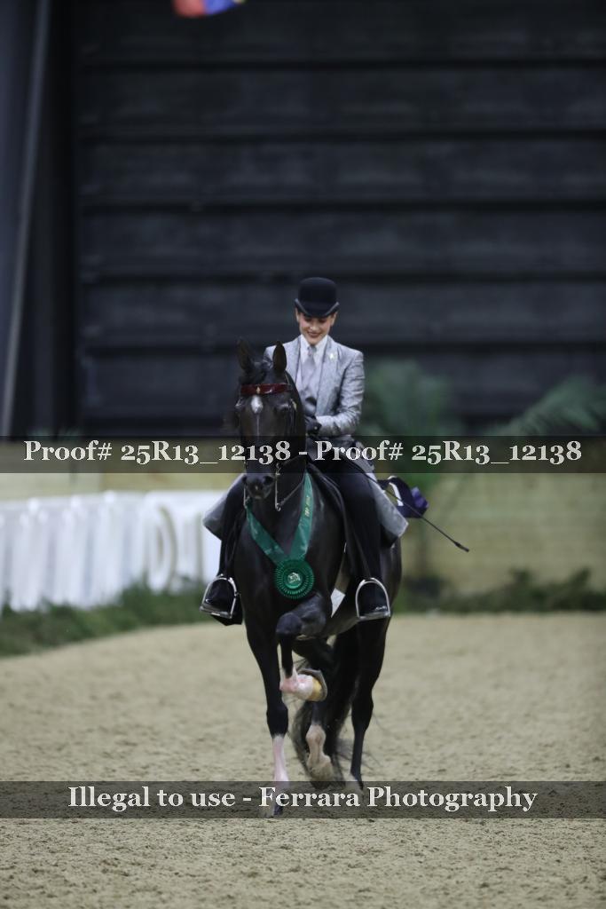 Proof 25R13_12138