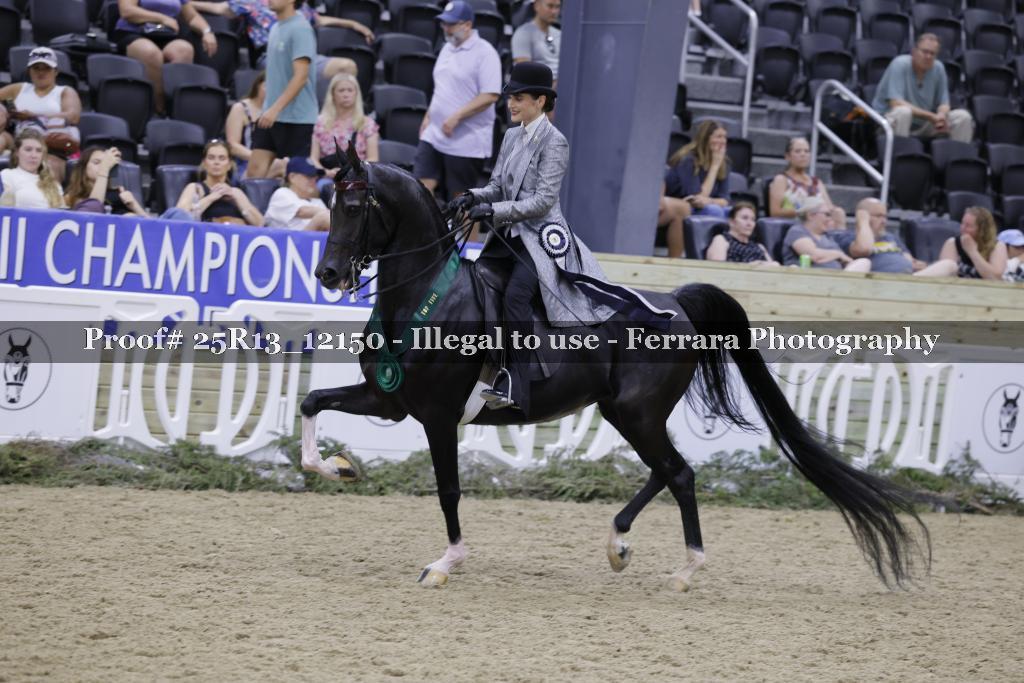 Proof 25R13_12150
