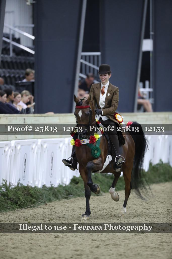 Proof 25R13_12153