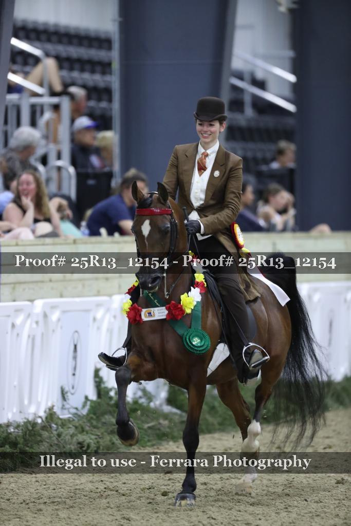 Proof 25R13_12154