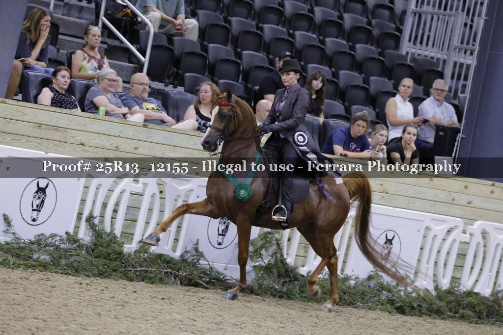 Proof 25R13_12155
