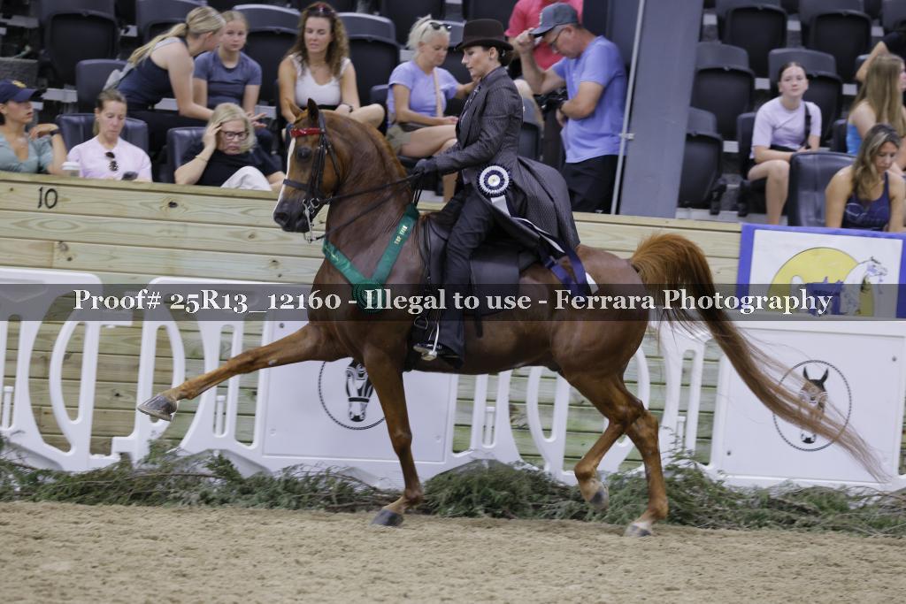 Proof 25R13_12160