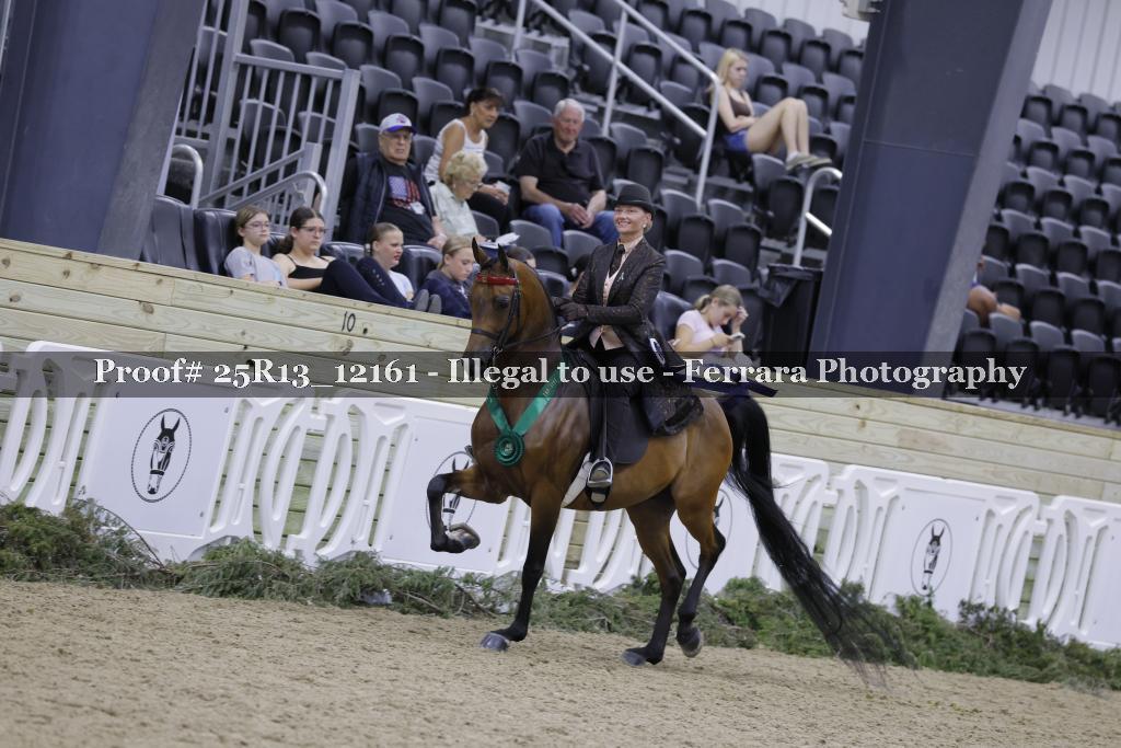 Proof 25R13_12161