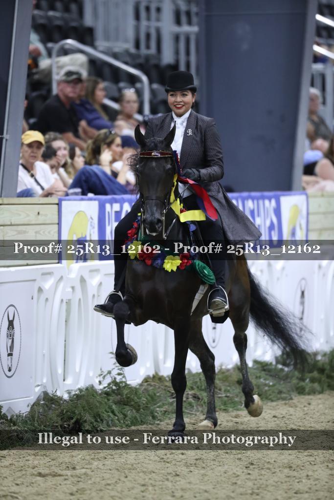 Proof 25R13_12162