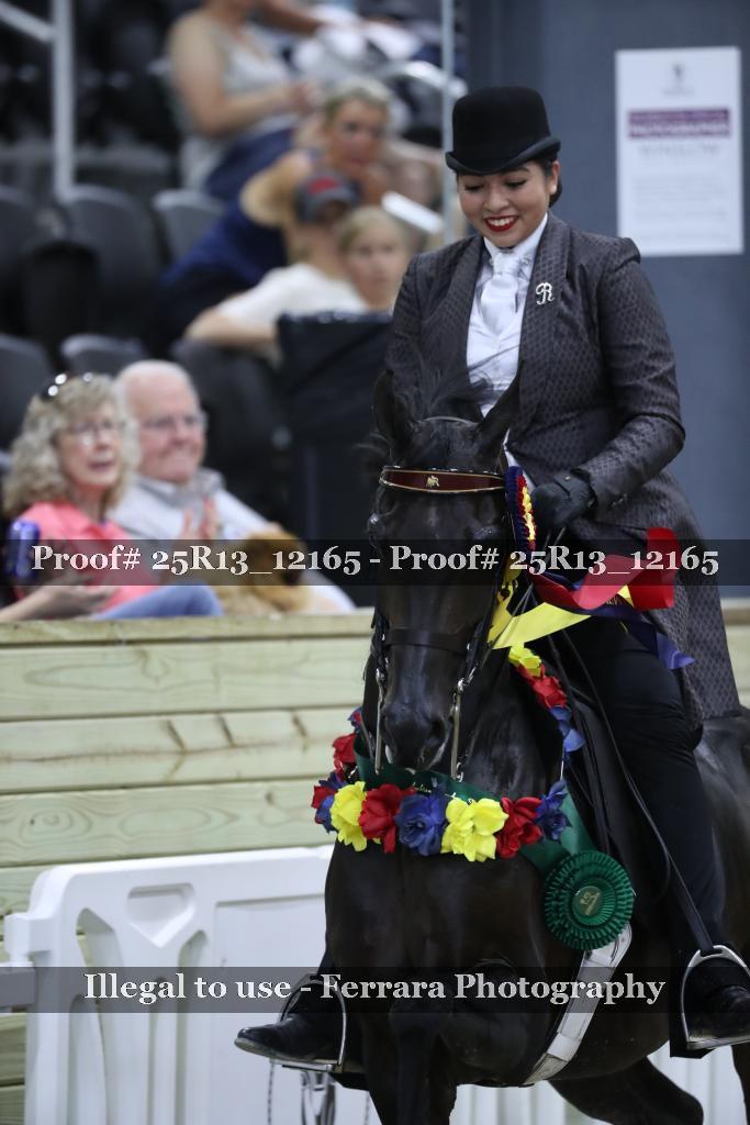 Proof 25R13_12165