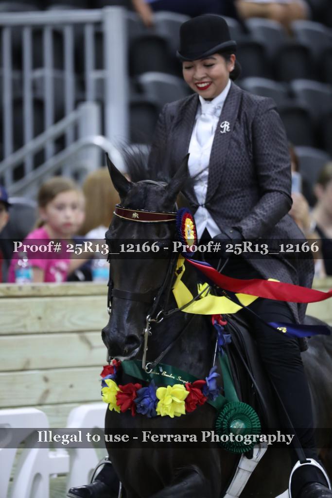 Proof 25R13_12166
