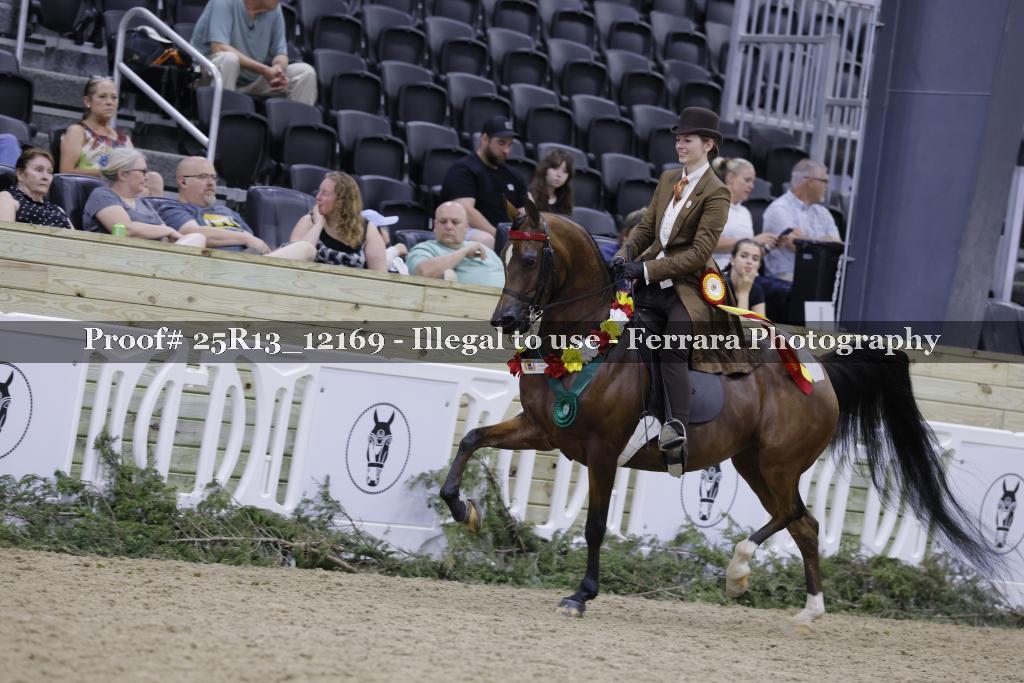 Proof 25R13_12169