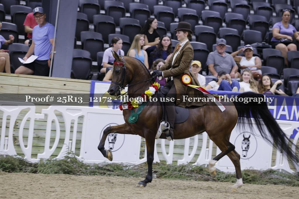 Proof 25R13_12172