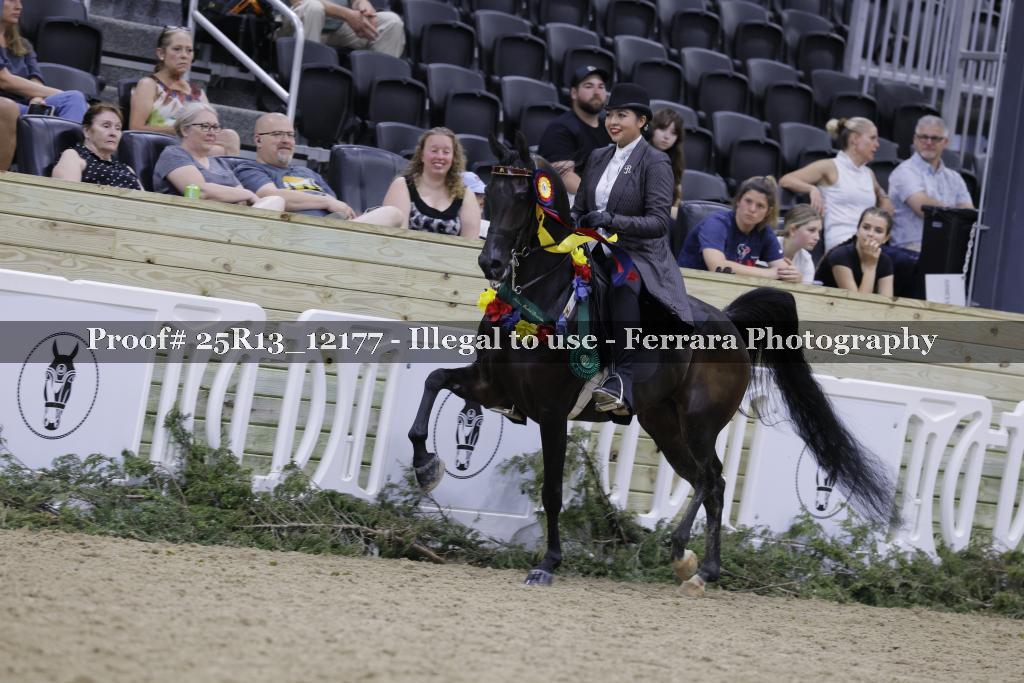 Proof 25R13_12177