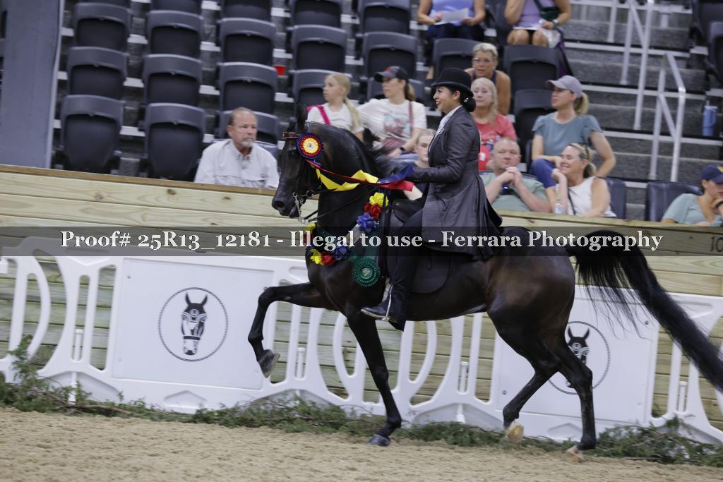 Proof 25R13_12181