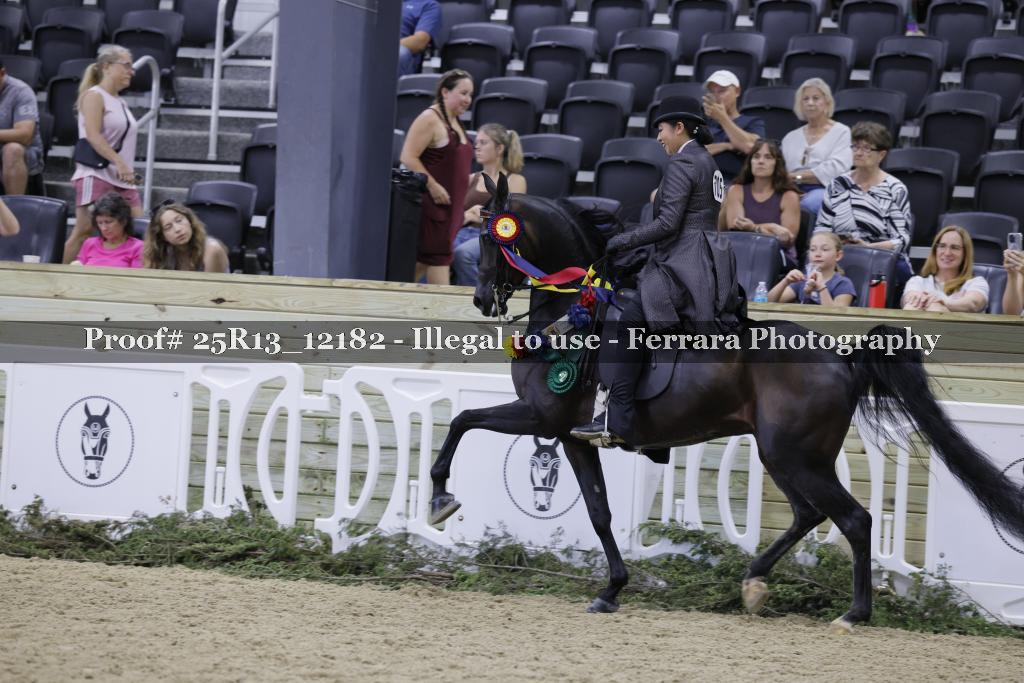 Proof 25R13_12182