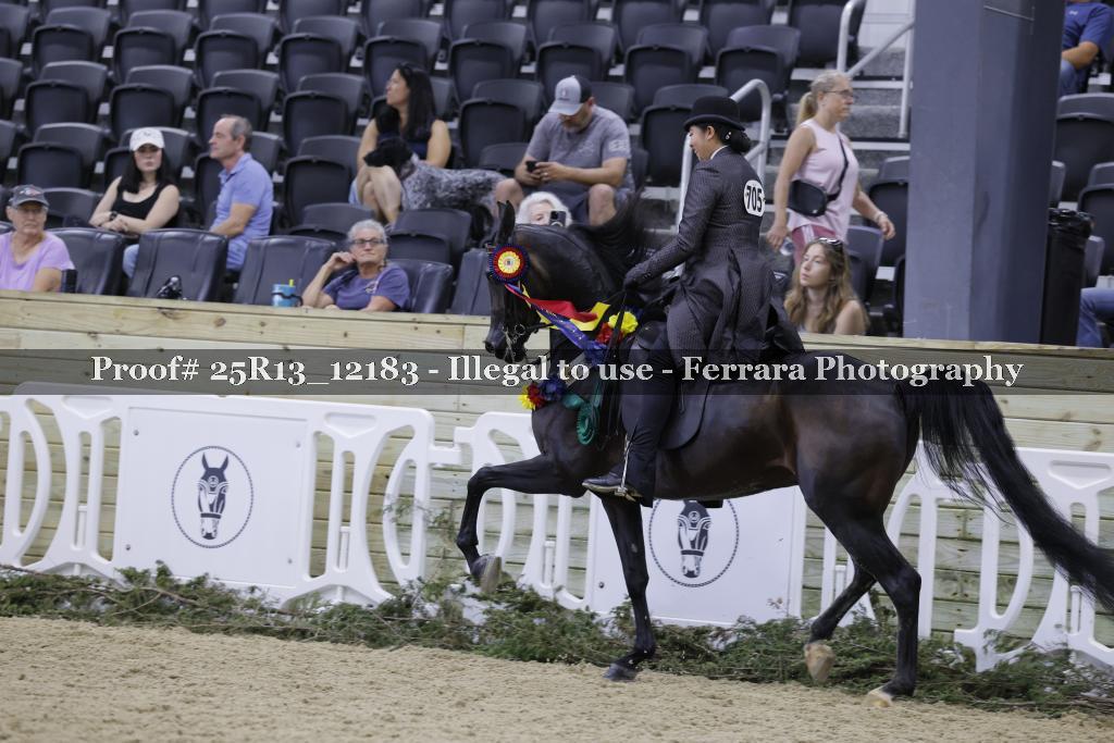 Proof 25R13_12183