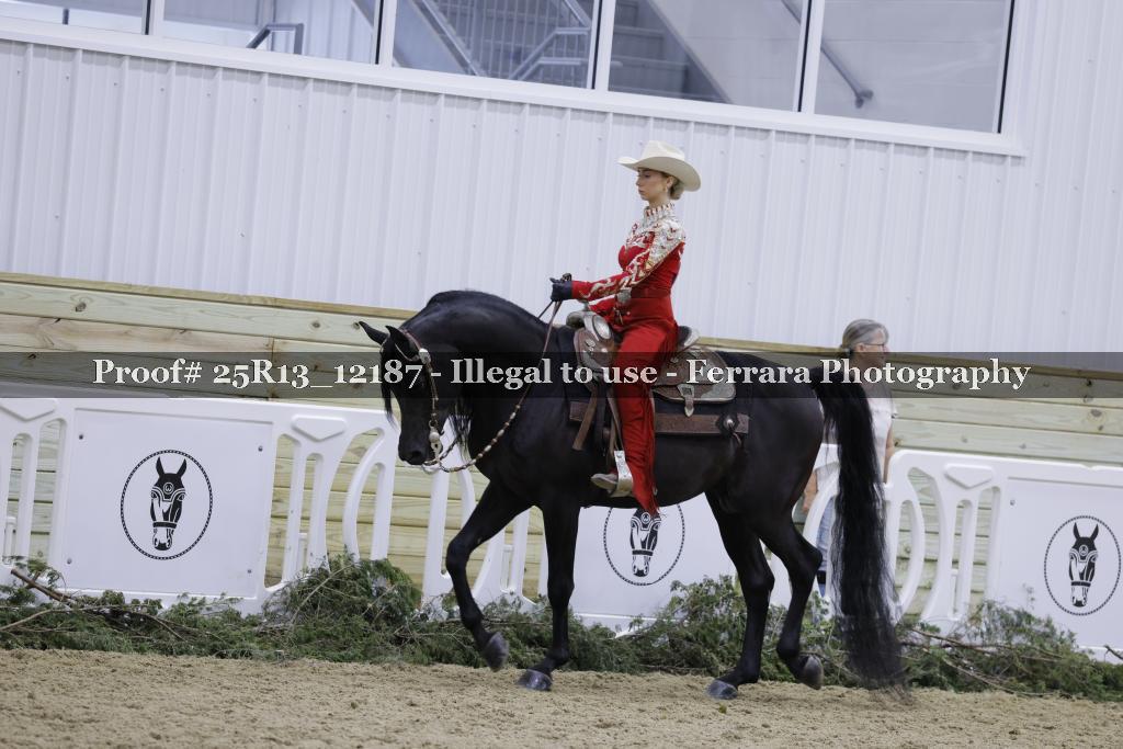 Proof 25R13_12187