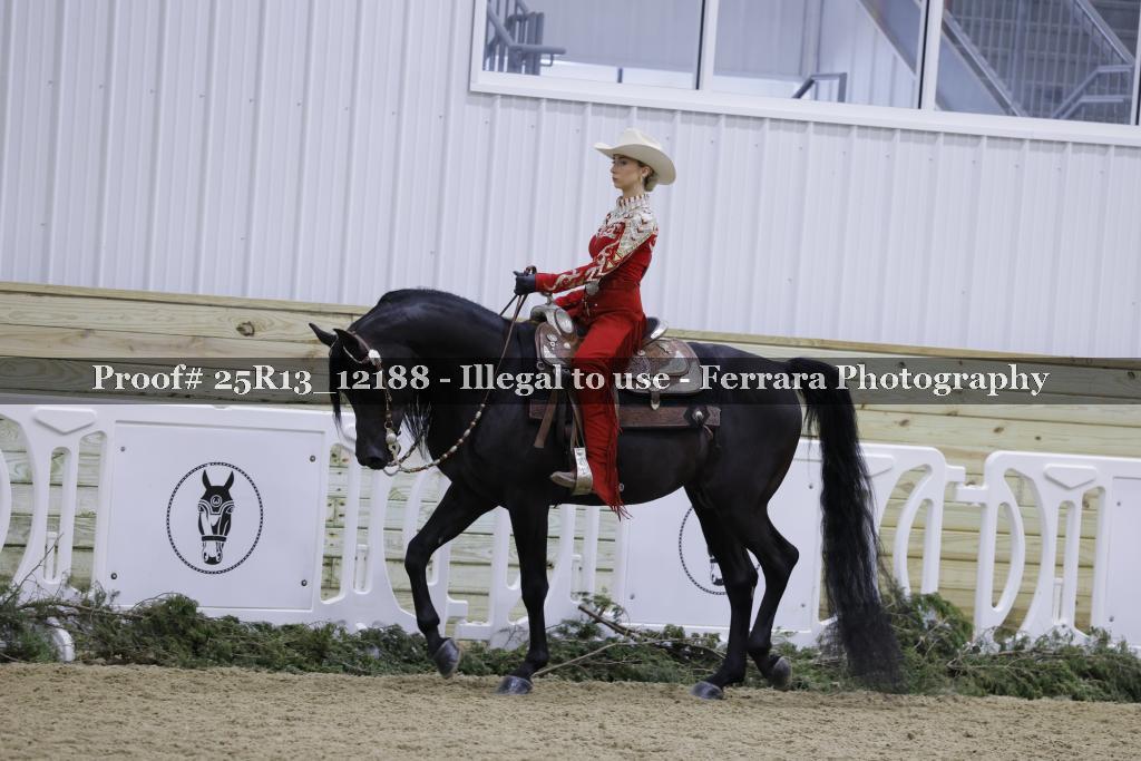 Proof 25R13_12188