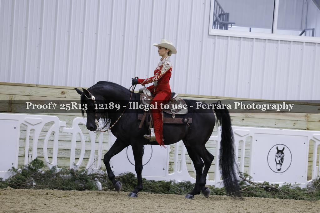 Proof 25R13_12189