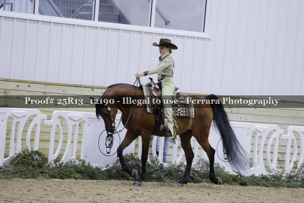 Proof 25R13_12190