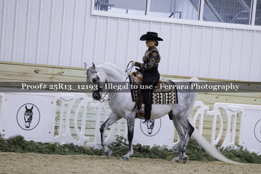 Proof 25R13_12193
