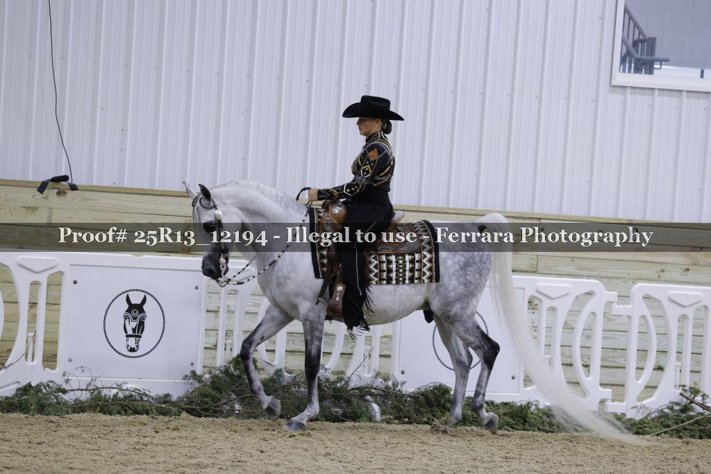 Proof 25R13_12194