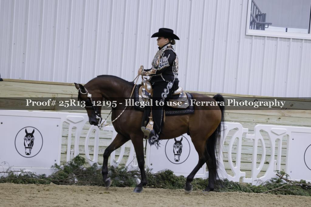 Proof 25R13_12195