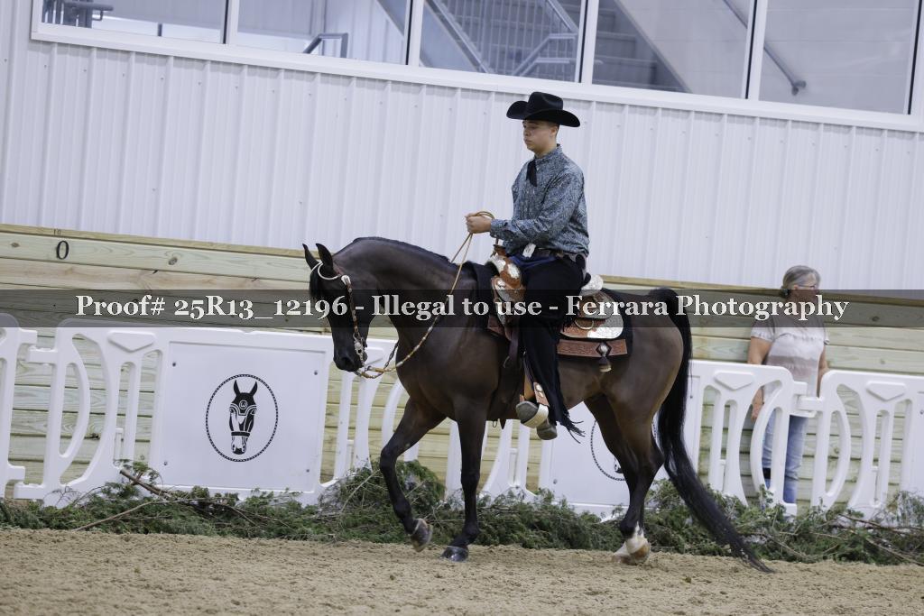Proof 25R13_12196