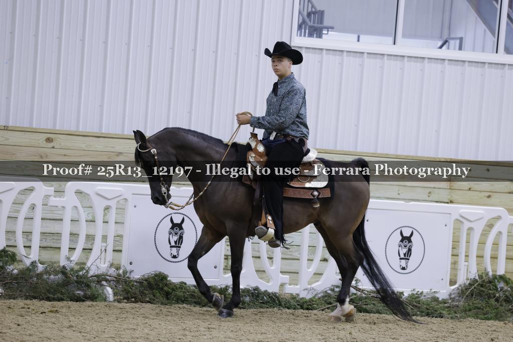 Proof 25R13_12197