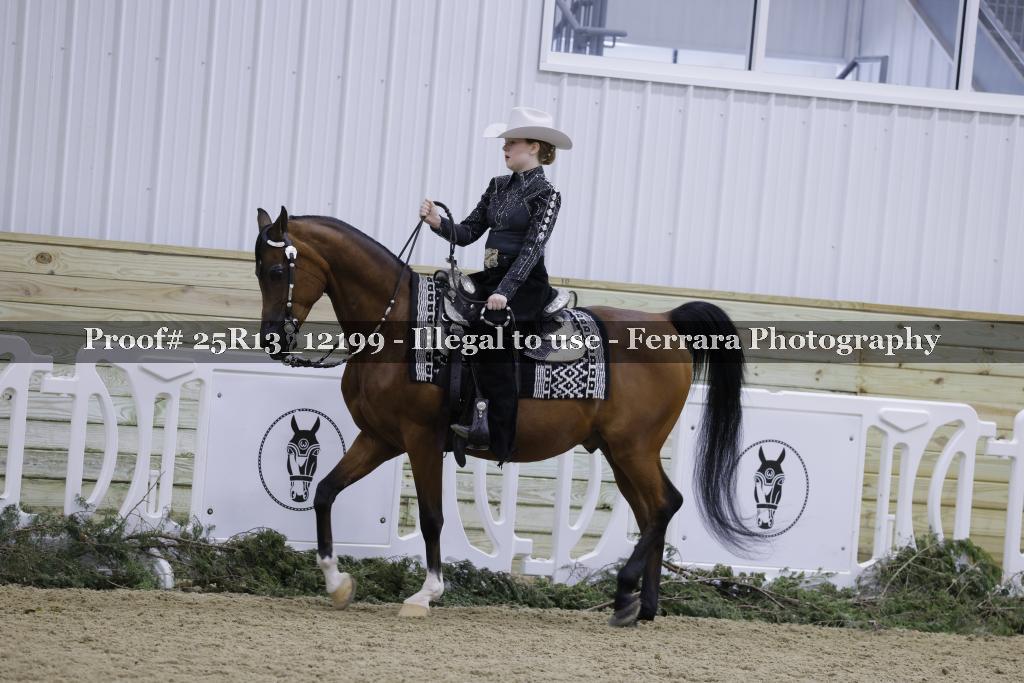 Proof 25R13_12199