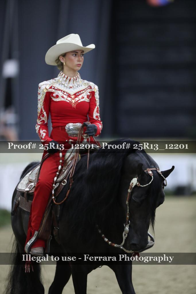 Proof 25R13_12201