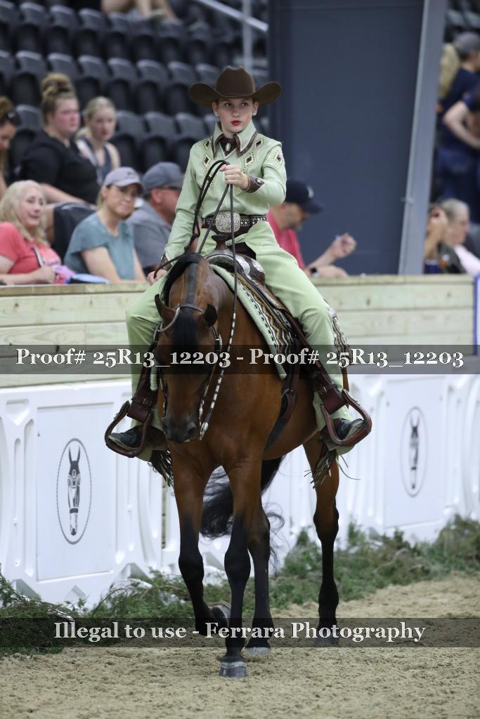 Proof 25R13_12203