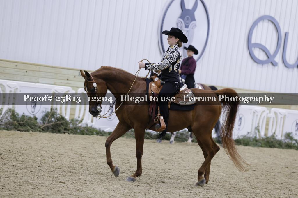 Proof 25R13_12204