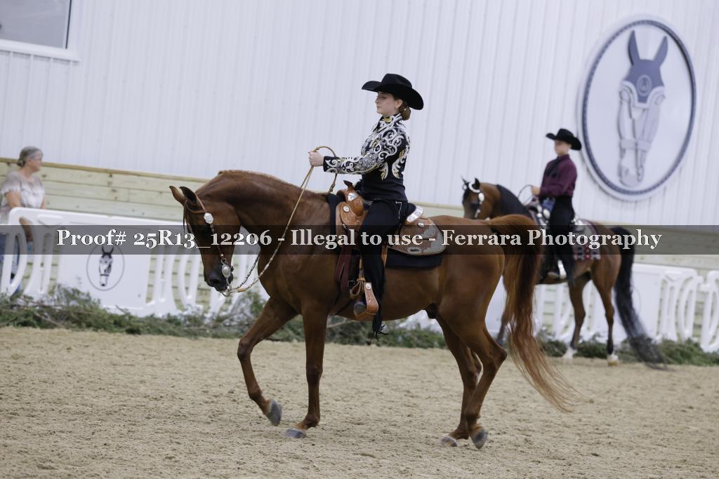 Proof 25R13_12206