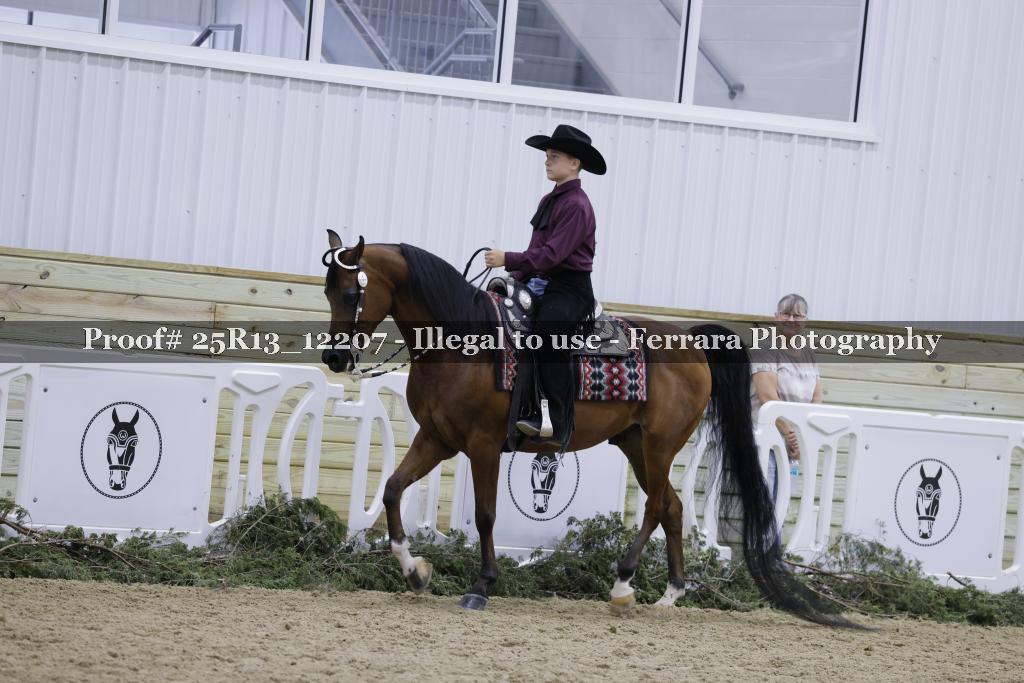 Proof 25R13_12207