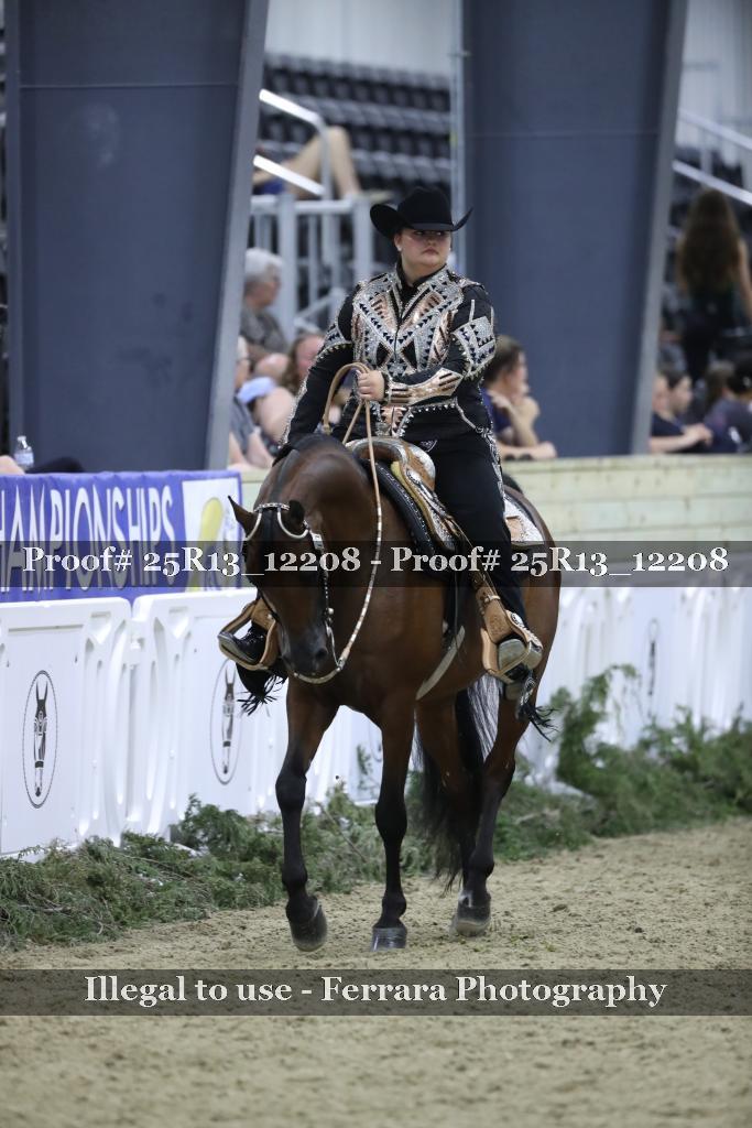Proof 25R13_12208