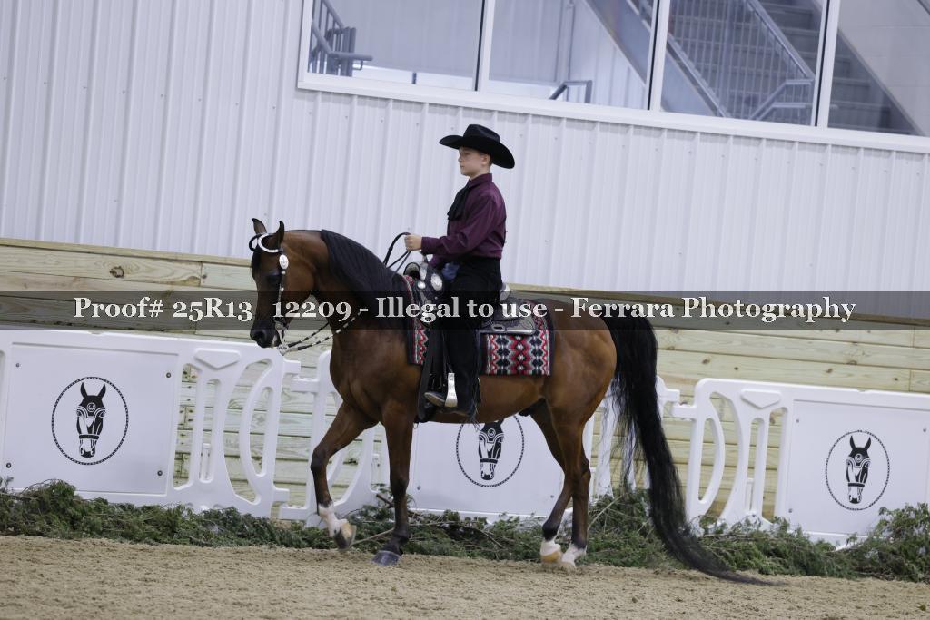 Proof 25R13_12209