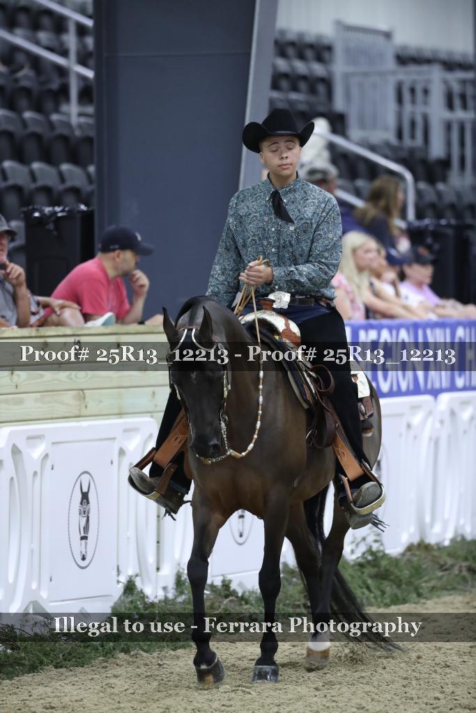 Proof 25R13_12213