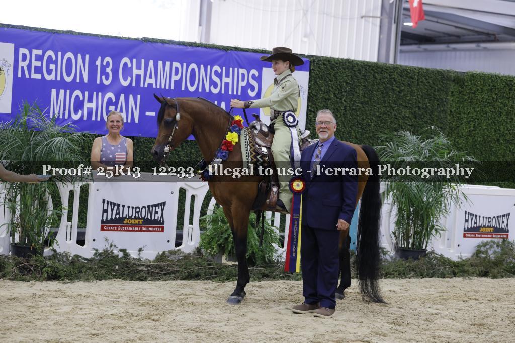 Proof 25R13_12233