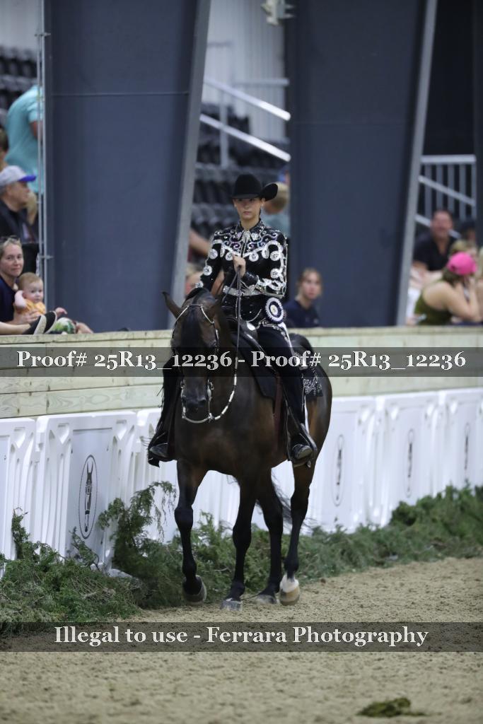 Proof 25R13_12236