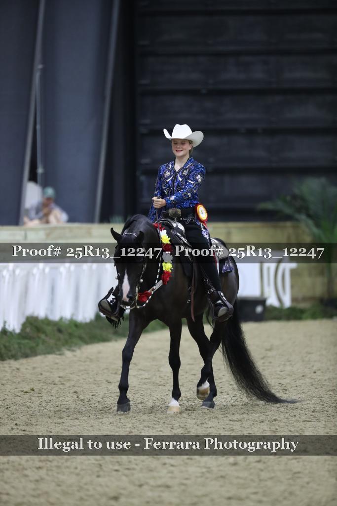 Proof 25R13_12247