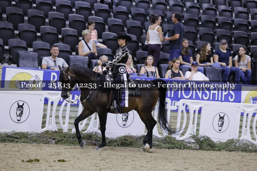 Proof 25R13_12253