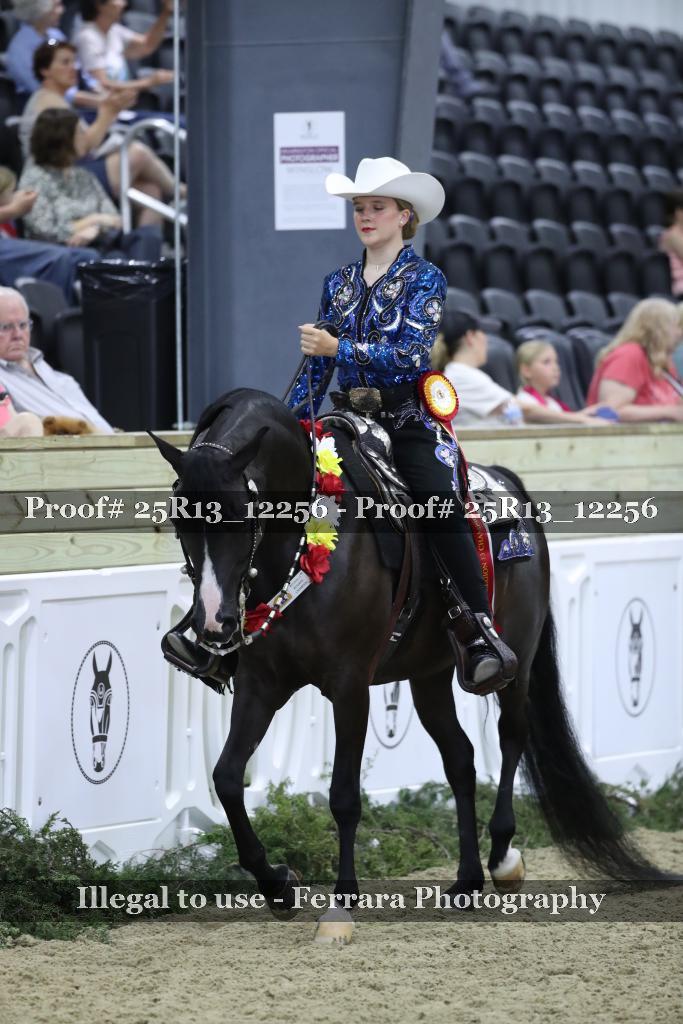 Proof 25R13_12256