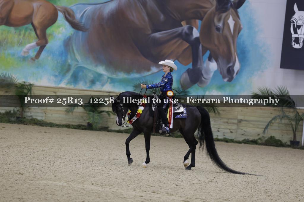 Proof 25R13_12258
