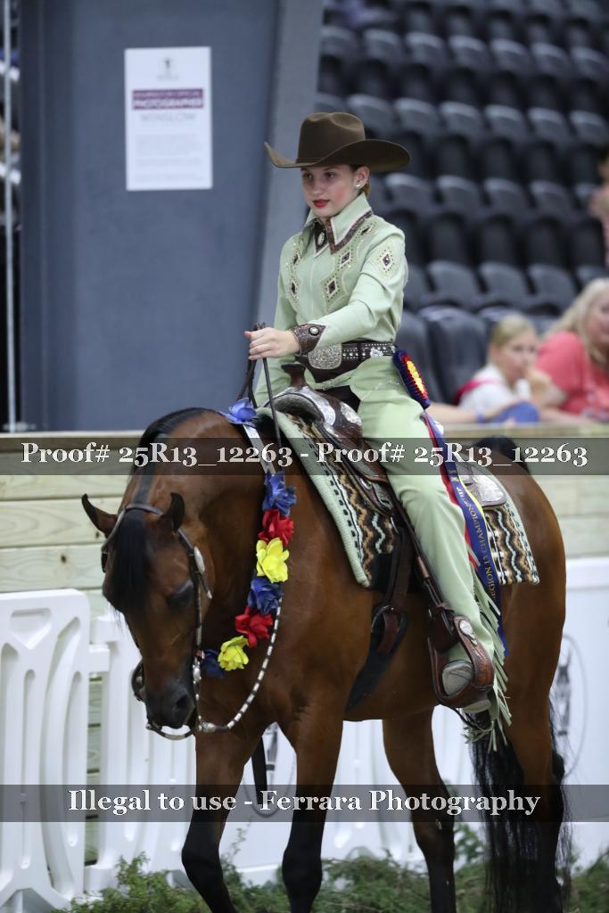 Proof 25R13_12263