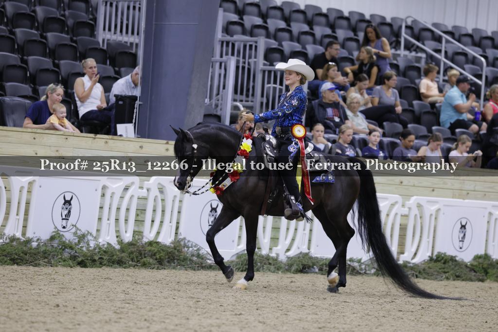 Proof 25R13_12266